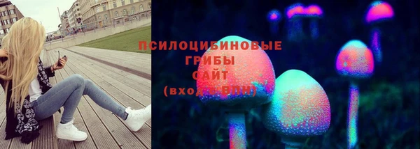 молекула духа Алзамай