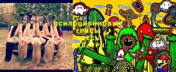 молекула духа Алзамай