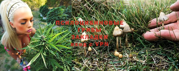 молекула духа Алзамай