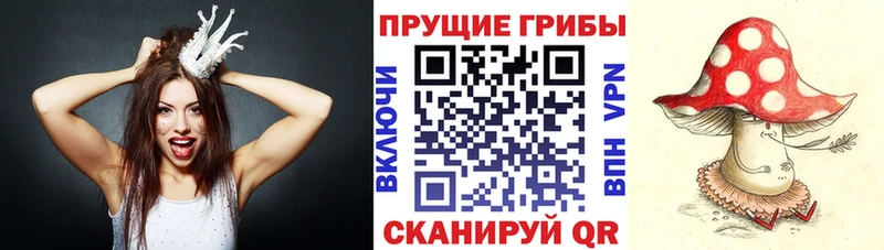 кракен онион Ижевск Галлюциногенные грибы MAGIC MUSHROOMS